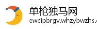 单枪独马网